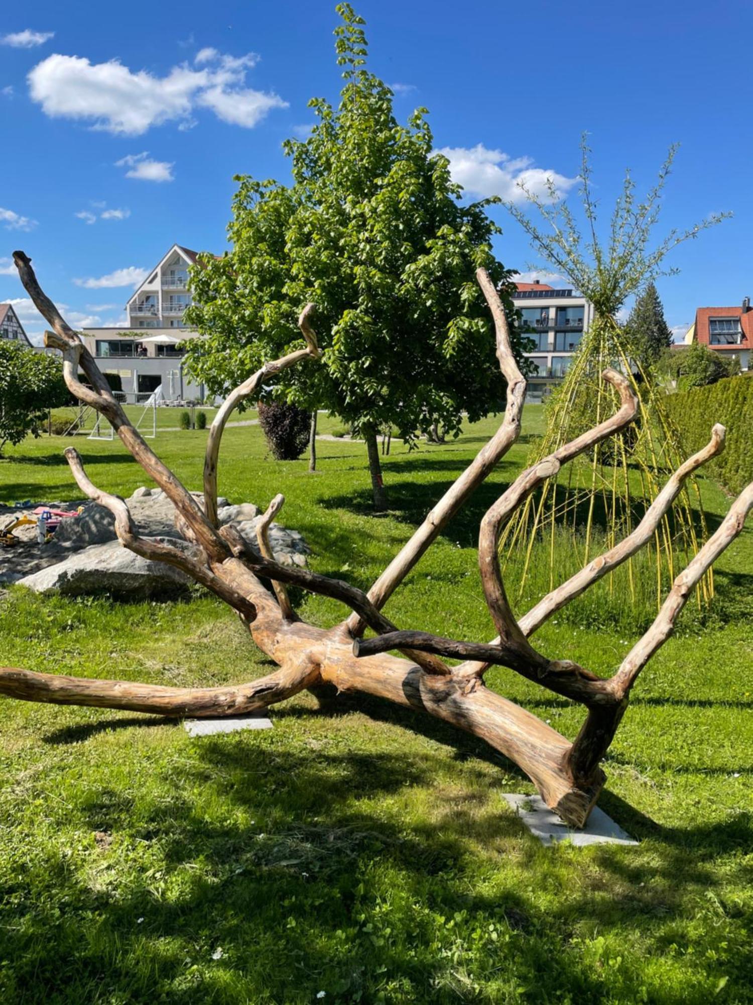 Hotel Traube Am See Friedrichshafen Exterior photo